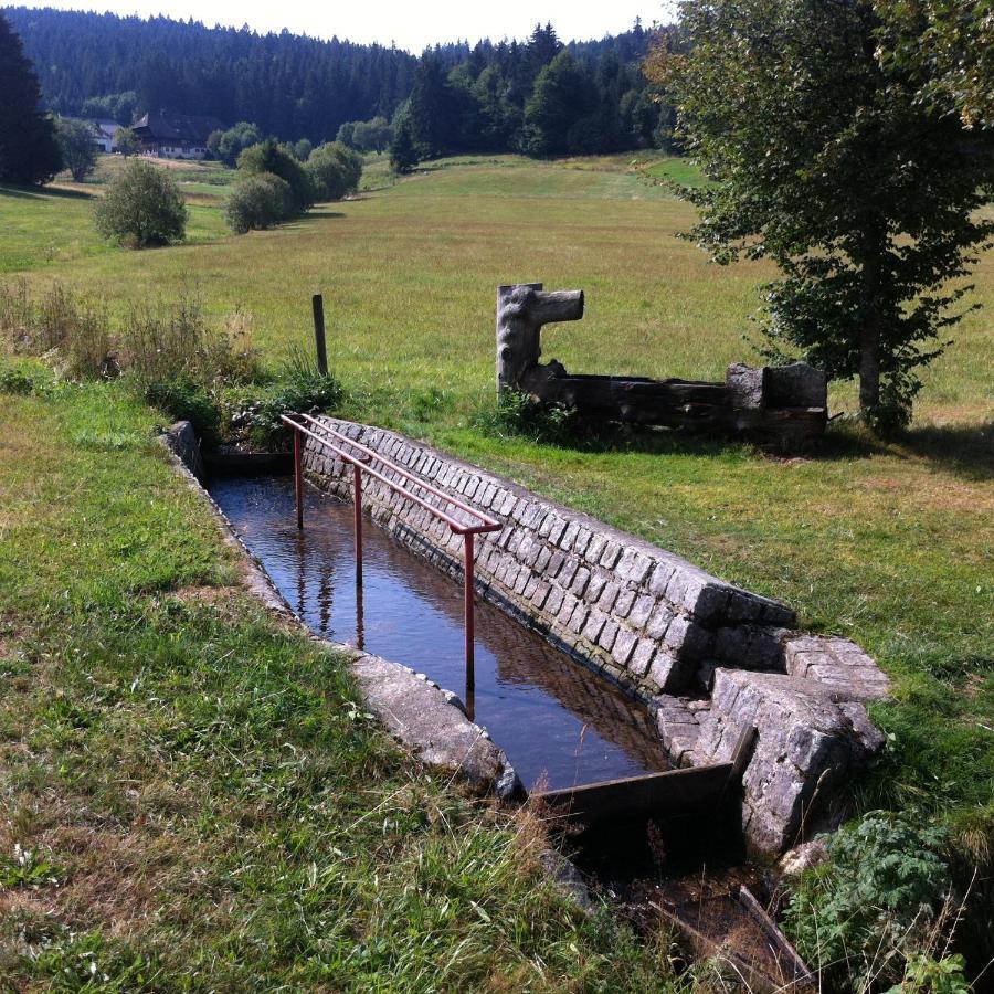 Ferienwohnung Waldblick Todtnau Exteriör bild